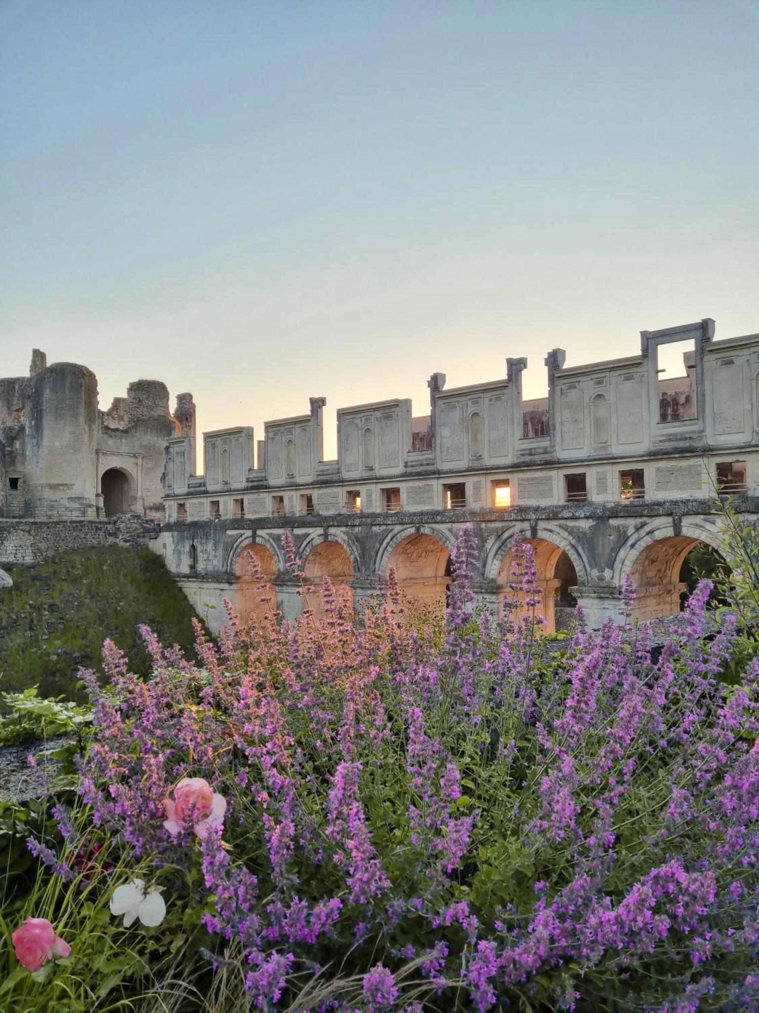 Chateau De Fere Exterior foto